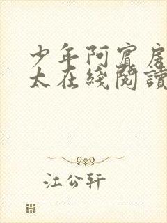 少年阿宾房东太太在线阅读封面