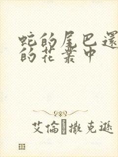 蛇的尾巴还在我的花丛中封面