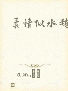 柔情似水赵雅儿