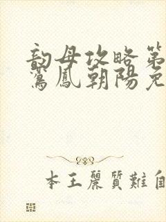 韵母攻略第二部鸾凤朝阳免费阅读封面