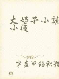 大奶子小说扒开小逼