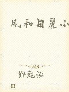 风和日丽小说