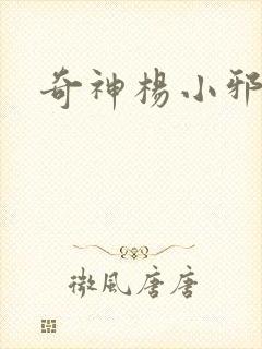 奇神杨小邪封面