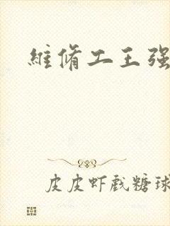 维修工王强张婷封面