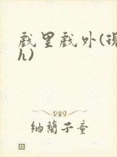 戏里戏外(现场h)