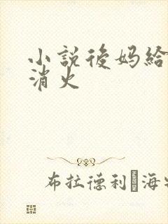 小说后妈给我消消火