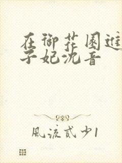 在御花园进入太子妃沈音