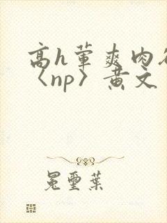 高h荤爽肉欲文〈np〉黄文