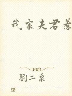 我家夫君惹不起封面