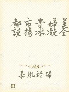 都市贵妇美腿小说杨冰凝全文阅读