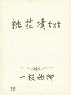 桃花债txt封面