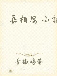 长相思 小说封面