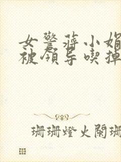 女警蒋小娟的奶被领导吃掉了封面