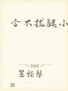 合不拢腿小说