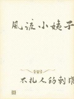 风流小姨子封面