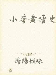 小唐黄倩史