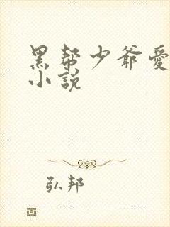 黑帮少爷爱上我小说封面
