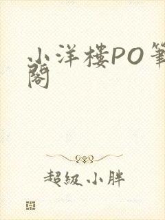 小洋楼PO笔趣阁