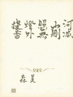 提灯照山河全文番外无删减