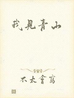 我见青山