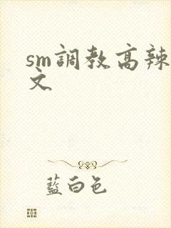 sm调教高辣h文封面