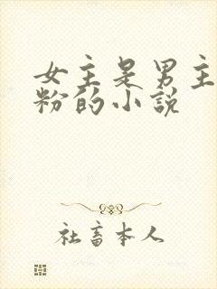 女主是男主的黑粉的小说封面