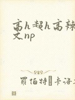 高h超h高辣h文np