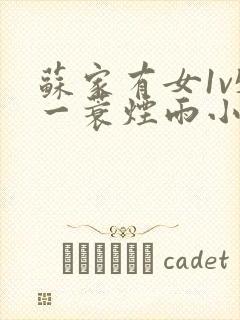 苏家有女1v5一蓑烟雨小说封面