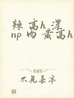 辣 高h 浓 np 肉 黄高h