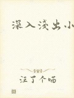 深入浅出小说