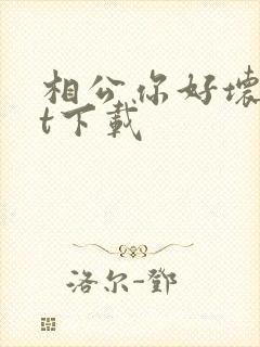 相公你好坏txt下载