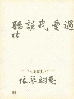 听说我爱过你txt封面