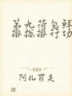 第九荷包鲜辣肉排总排行功能介绍封面