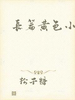 长篇黄色小说封面