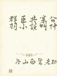 群臣共享公主银羽小说叫什么