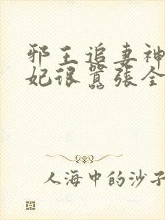 邪王追妻神医狂妃很嚣张全文免费