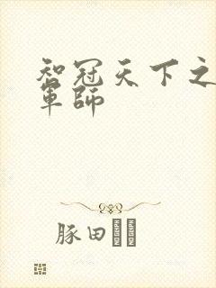 智冠天下之风流军师封面