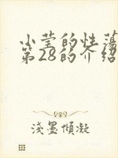 小莹的性荡生活第28的介绍