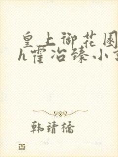 皇上御花园hlh霍冶臻小说封面