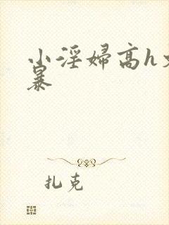 小淫妇高h文黄暴