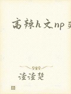 高辣h文np爽