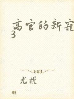 高官的新宠1V3封面