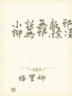 小说无敌邪神,柳无邪,徐凌雪