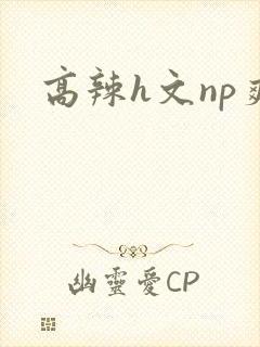 高辣h文np爽