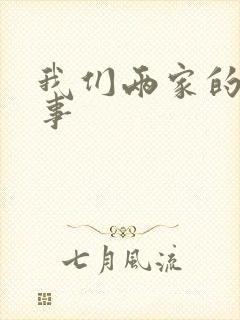 我们两家的荒唐事