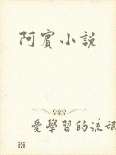 阿宾小说