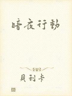 暗夜行动