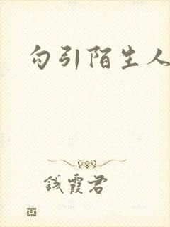 勾引陌生人封面