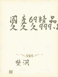 国产69精品久久久久999小说