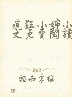 疯狂小婶小说全文免费阅读下载